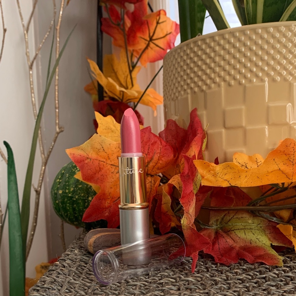 Mary Kay Signature NIP Simply Pink Lipstick